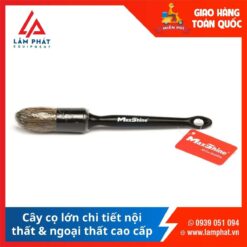 Cây Cọ Lớn Chi Tiết Nội Thất Ngoại Thất Cao Cấp