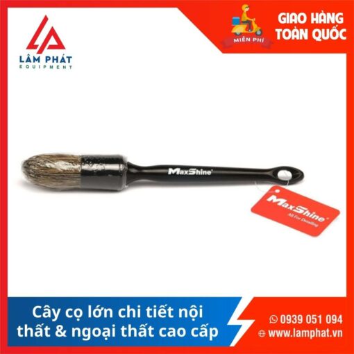 Cây Cọ Lớn Chi Tiết Nội Thất Ngoại Thất Cao Cấp