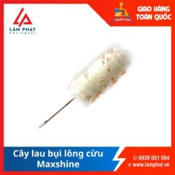 Cây Lau Bụi Lông Cừu