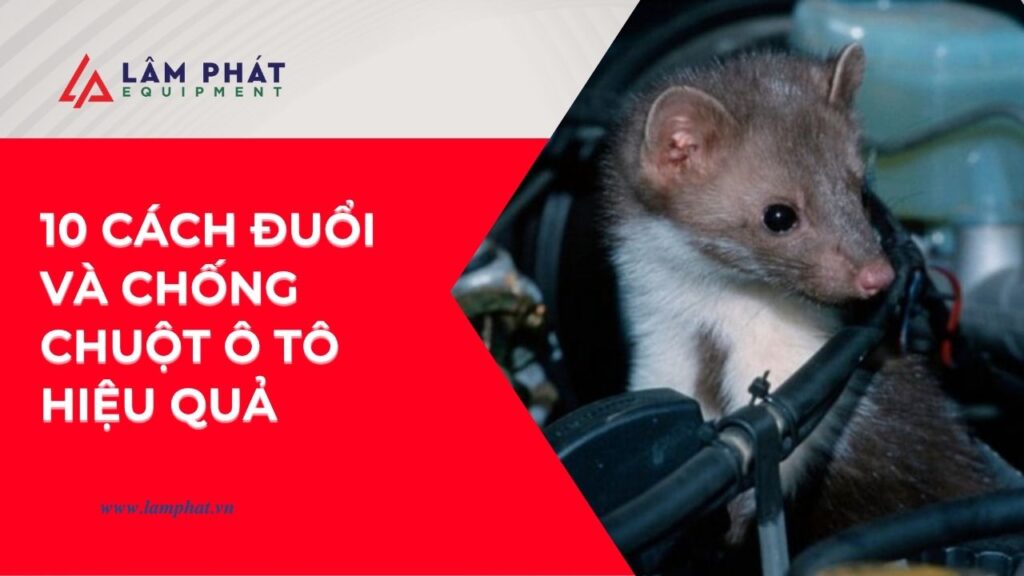 Sáng nổ máy không được? Rất có thể chuột đã cắn đứt dây điện! Cùng khám phá những mẹo đuổi chuột ô tô an toàn và hiệu quả ngay tại nhà.