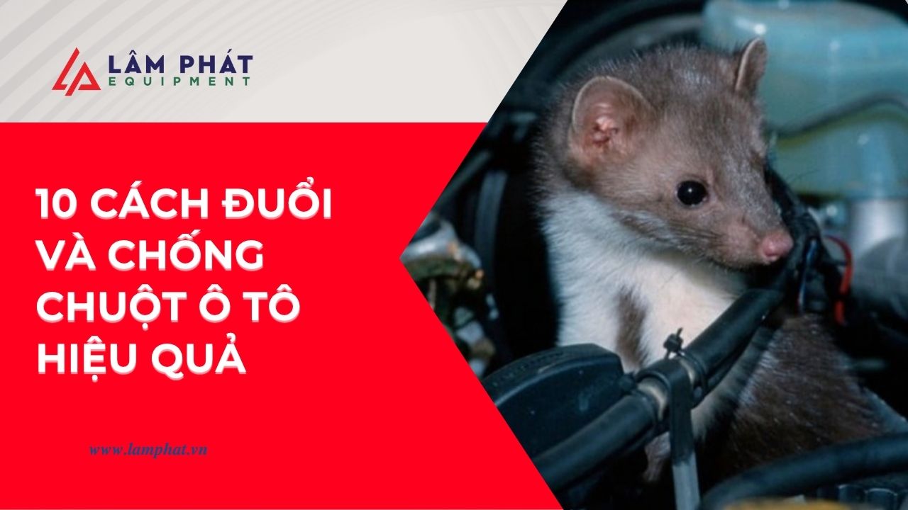 Sáng nổ máy không được? Rất có thể chuột đã cắn đứt dây điện! Cùng khám phá những mẹo đuổi chuột ô tô an toàn và hiệu quả ngay tại nhà.