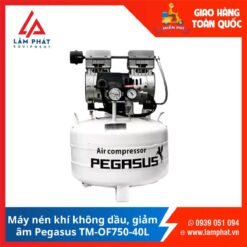 Máy nén khí không dầu Pegasus TM-OF750-40L