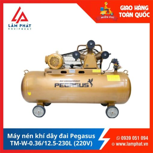 Máy nén khí dây đai Pegasus TM-W-0.36/12.5-180L (220V)