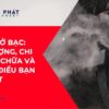 Tại sao xe Sirius hở bạc lại thải khói trắng? Lỗi nhỏ tưởng chừng đơn giản nhưng có thể phá hỏng cả động cơ nếu bạn không biết điều này…